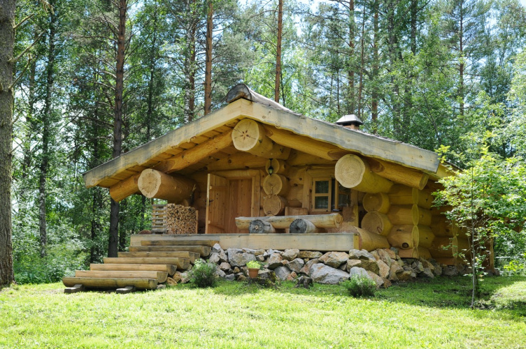 Таежный дом