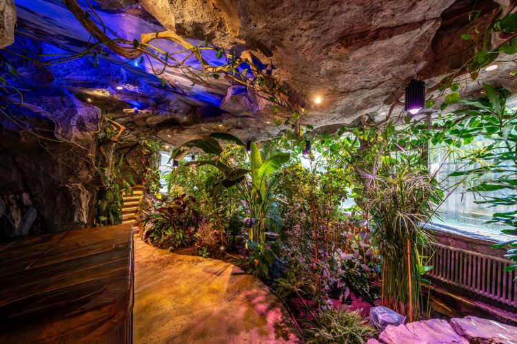 Оранжерея в частном доме